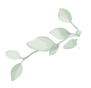 feuillage_2O